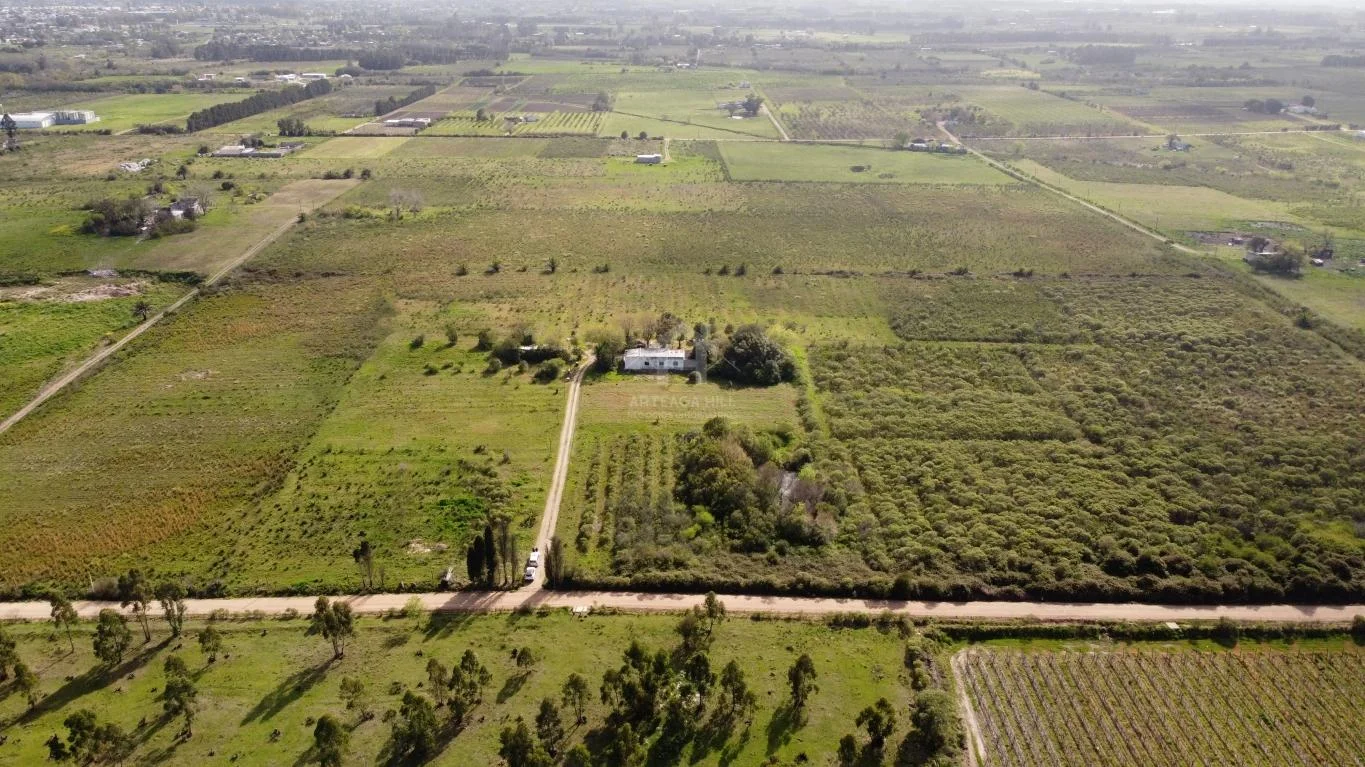 Chacra en Colón, propiedad 38990 -Imagen 7