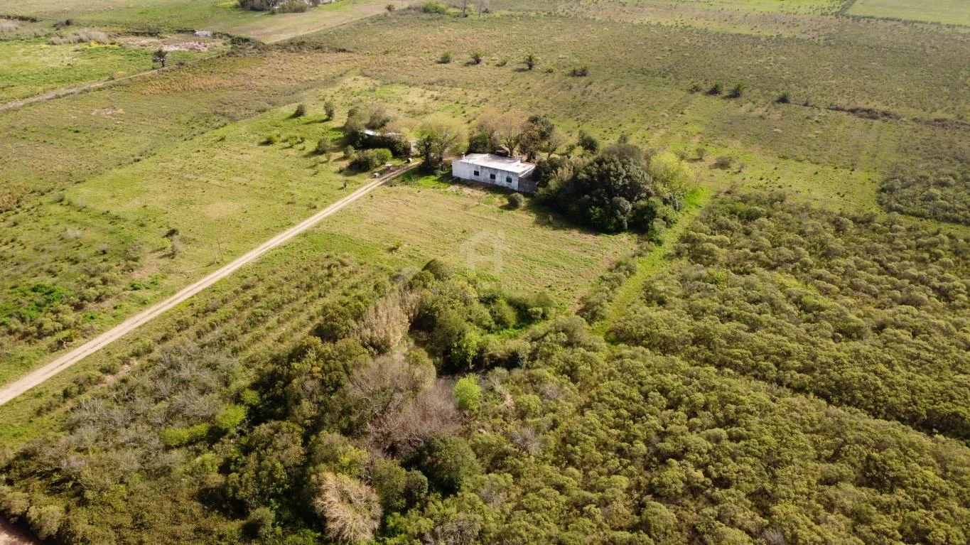 Chacra en Colón, propiedad 38990 -Imagen 8