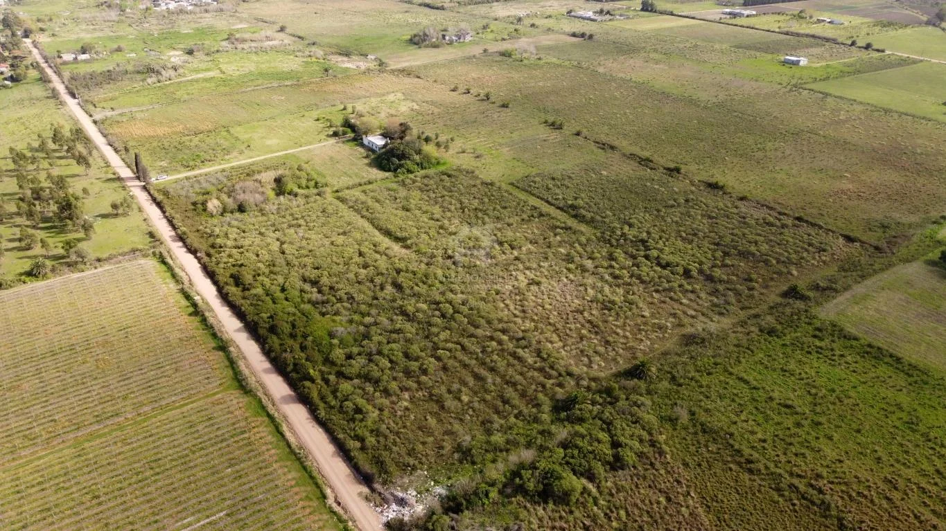 Chacra en Colón, propiedad 38990 -Imagen 9