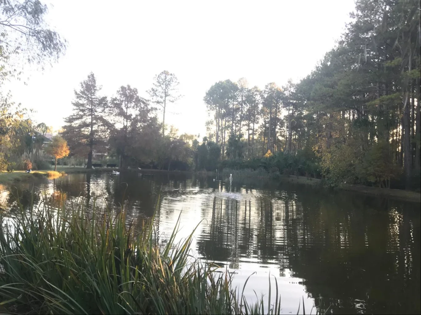 Apartamento en Haras del Lago, propiedad 285776 -Imagen 10