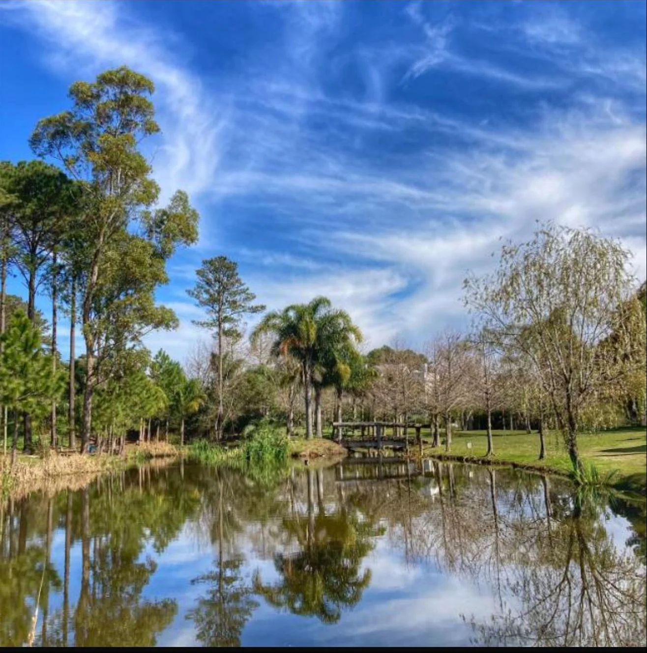 Apartamento en Haras del Lago, propiedad 285776 -Imagen 11