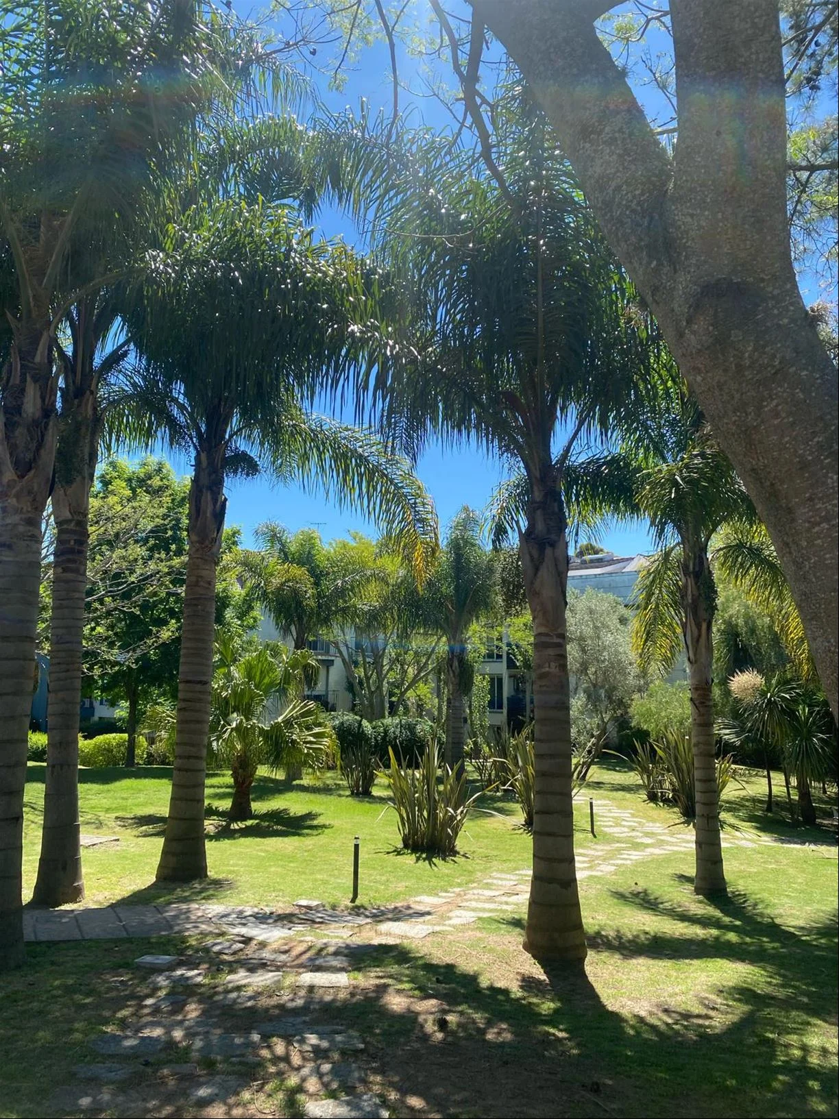 Apartamento en Haras del Lago, propiedad 285776 -Imagen 13