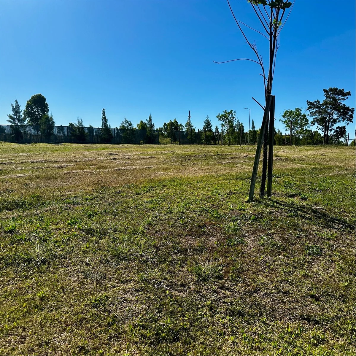 Terreno en Barrios Privados, propiedad 285787 -Imagen 13