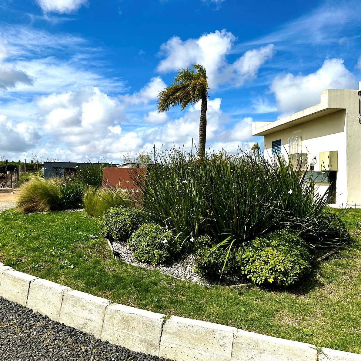Casa en La Juana, propiedad 285791 -Imagen 14