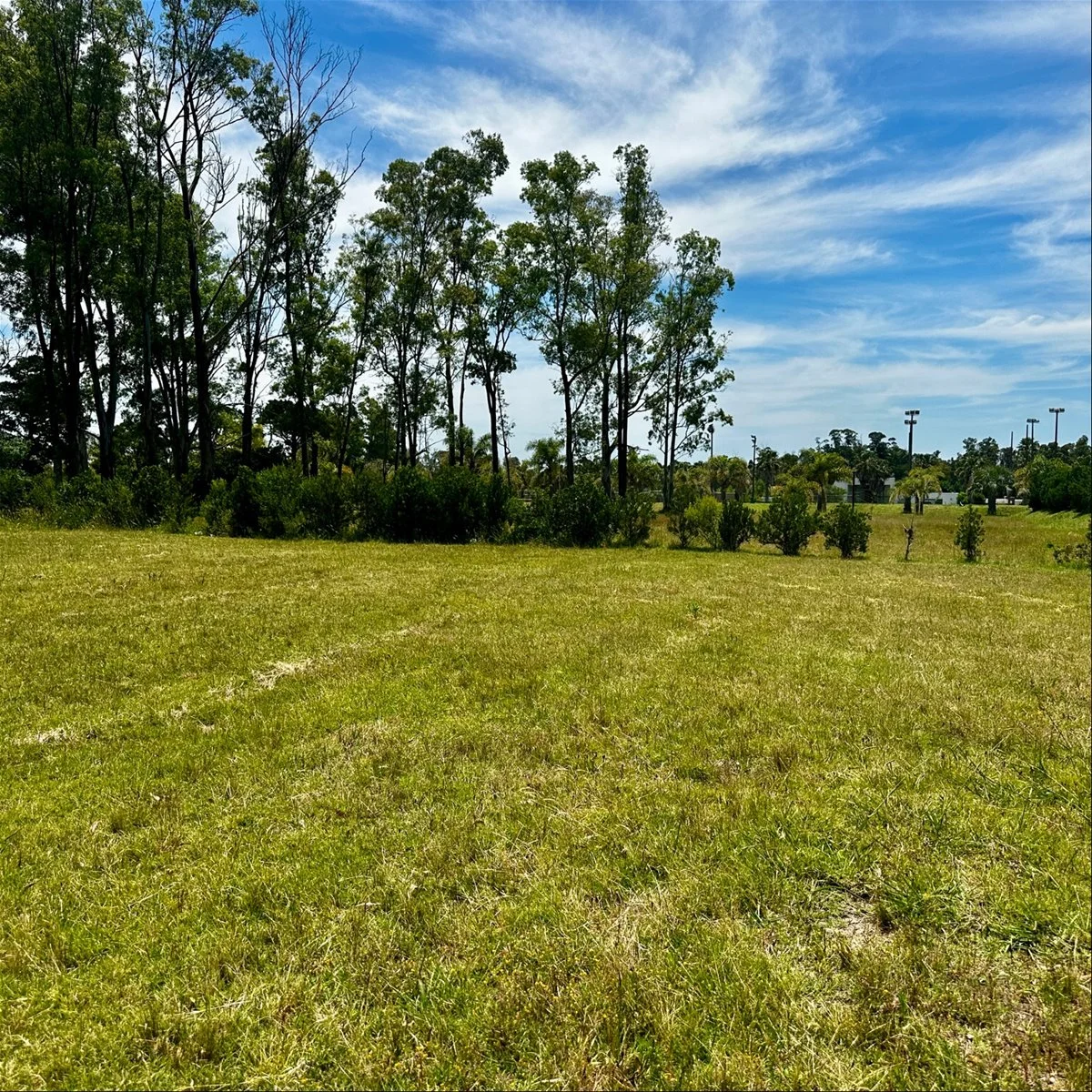 Terreno en Cumbres de Carrasco, propiedad 285792 -Imagen 13