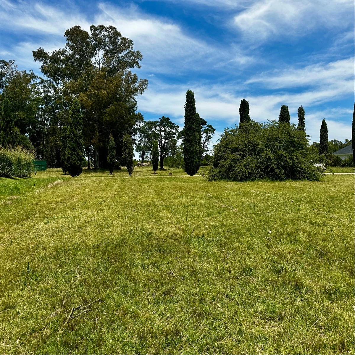 Terreno en Cumbres de Carrasco, propiedad 285792 -Imagen 14