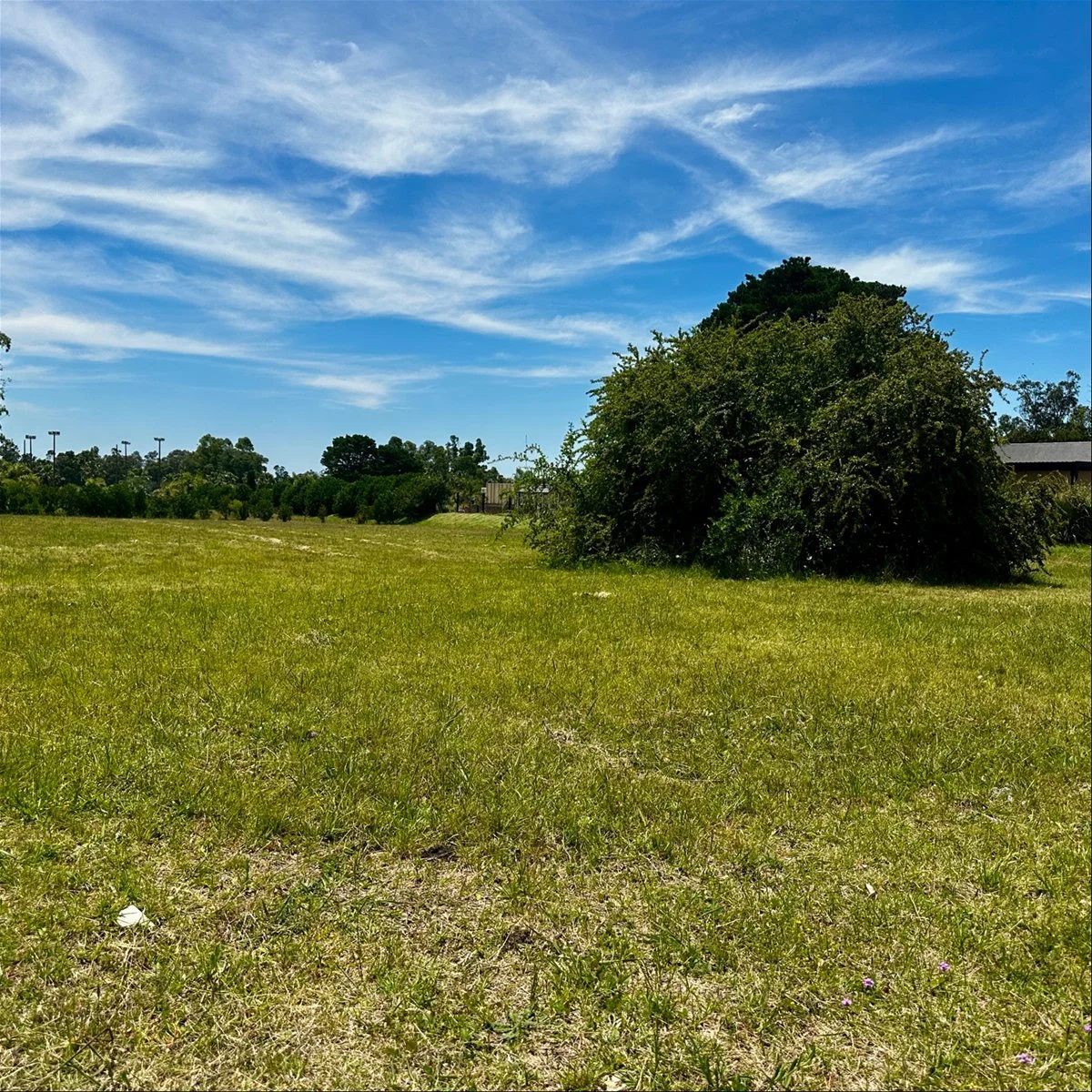 Terreno en Cumbres de Carrasco, propiedad 285792 -Imagen 16