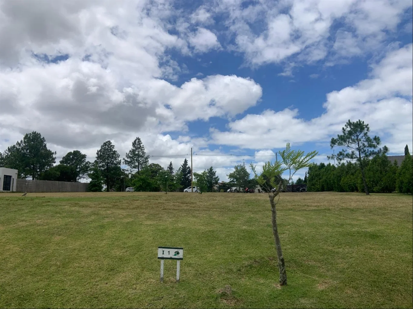 Terreno en Carmel, propiedad 298540 -Imagen 11