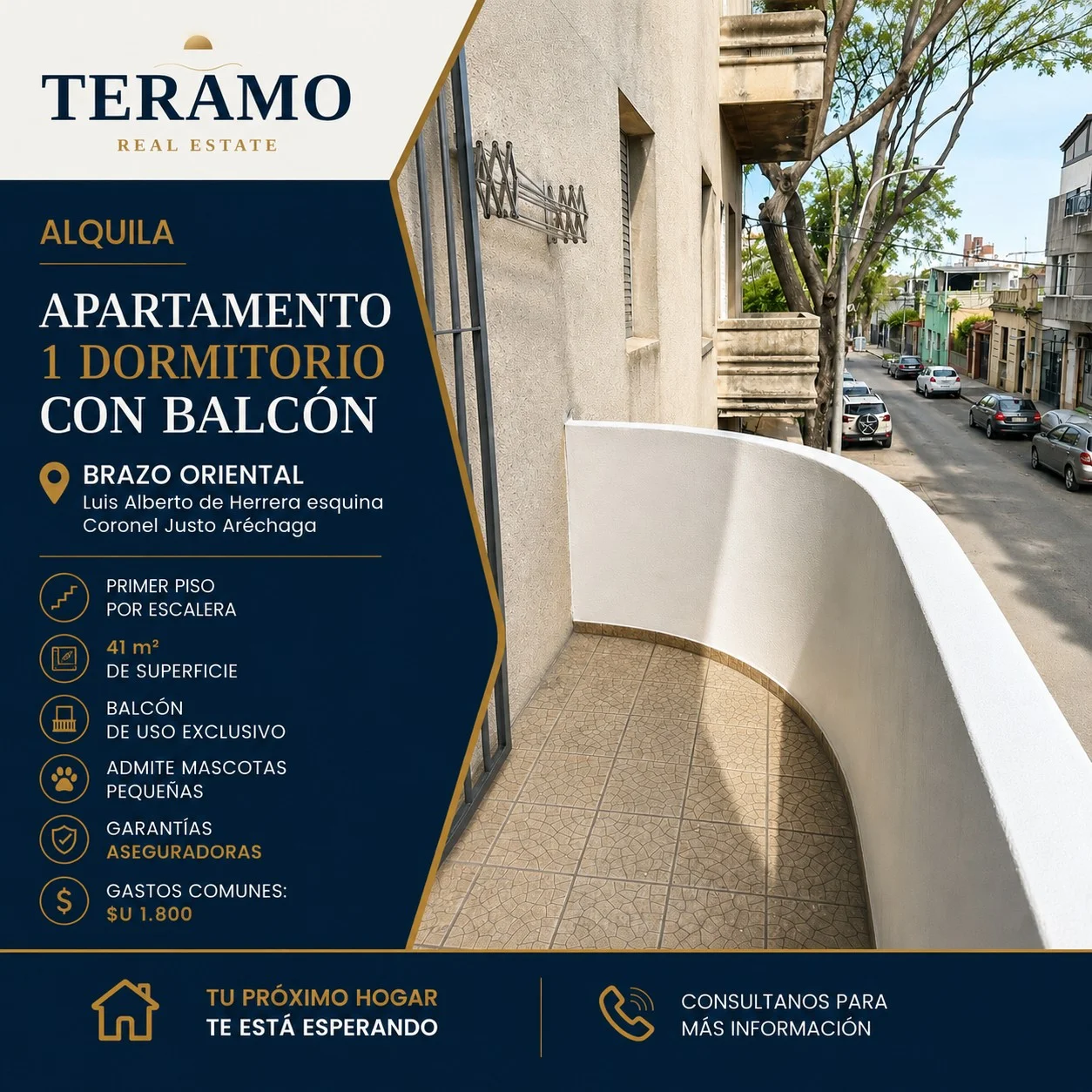 Apartamento en Brazo Oriental, propiedad 285474 -Imagen 1