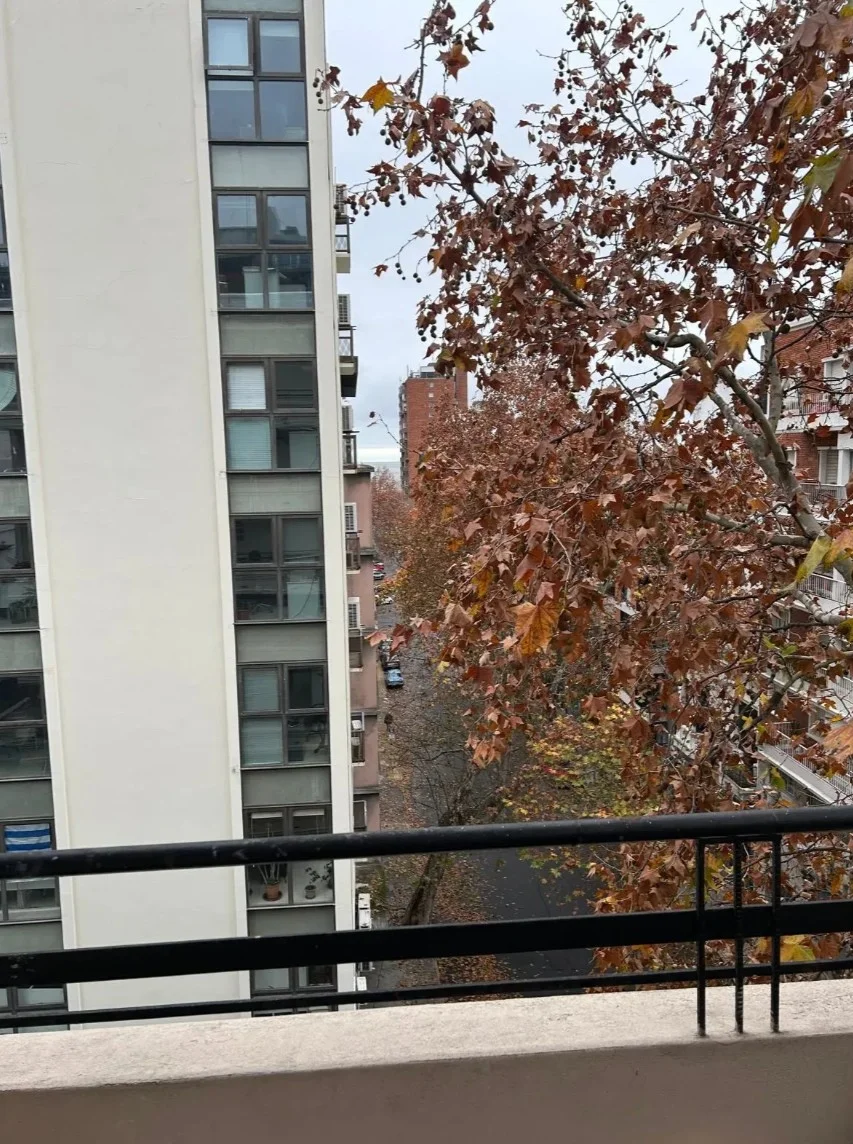 Apartamento en Centro, propiedad 285504 -Imagen 2
