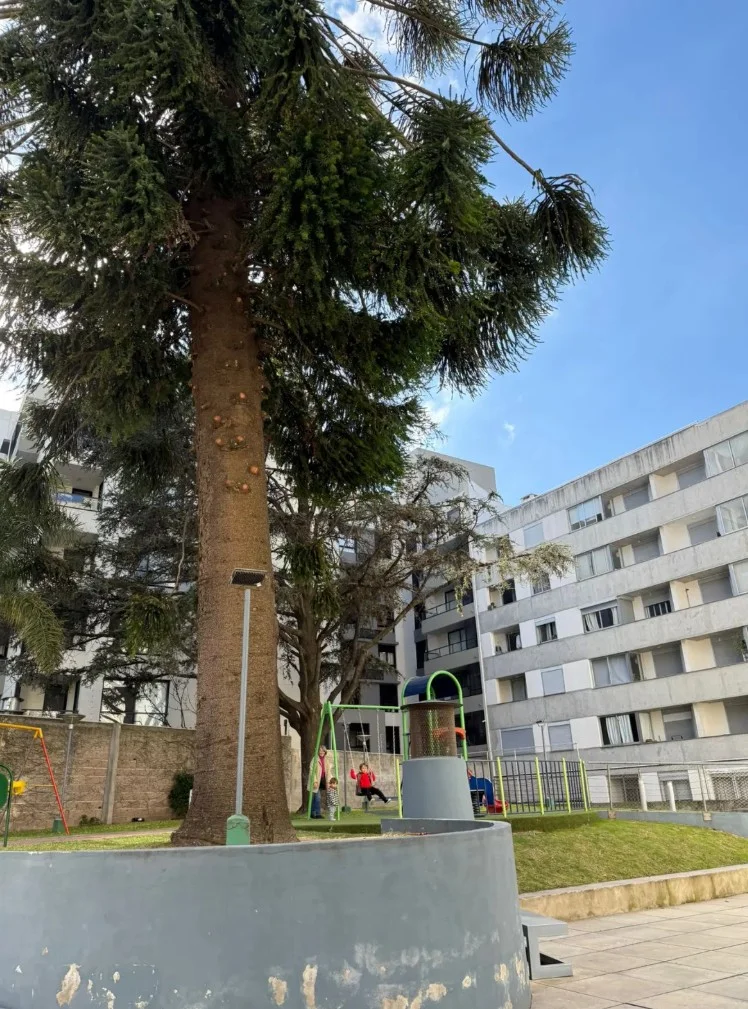 Apartamento en Cordón, propiedad 293420 -Imagen 15