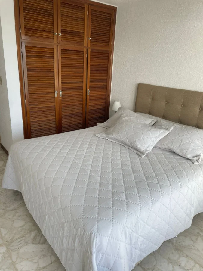 Apartamento en Playa Mansa, propiedad 287815 -Imagen 11
