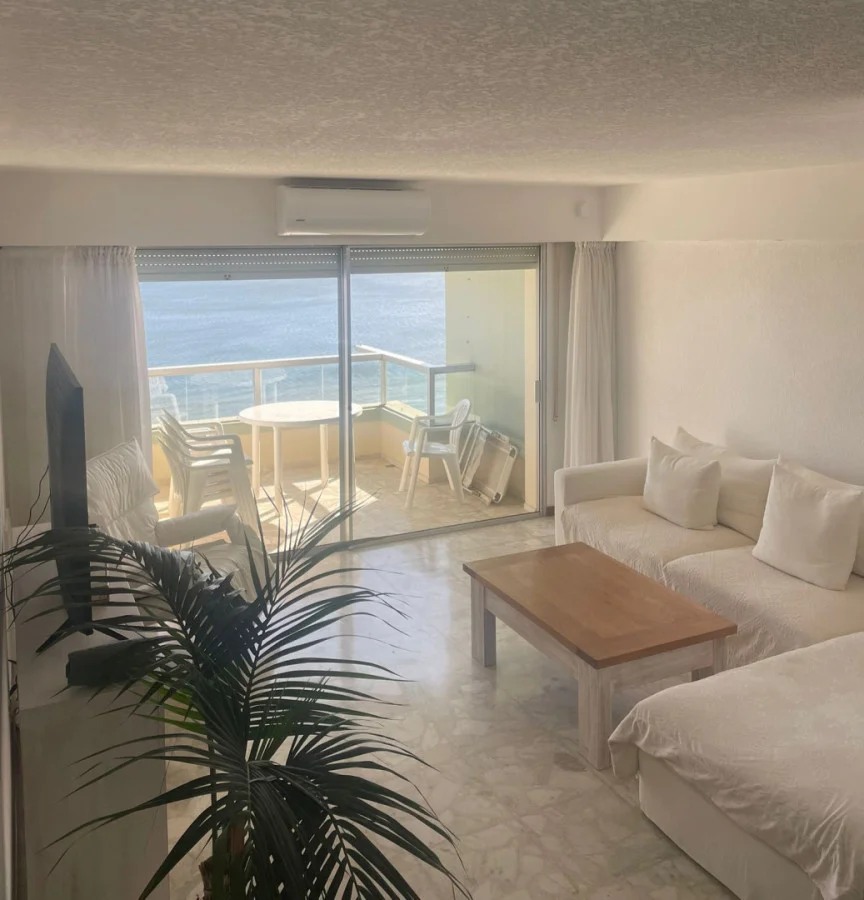 Apartamento en Playa Mansa, propiedad 287815 -Imagen 3