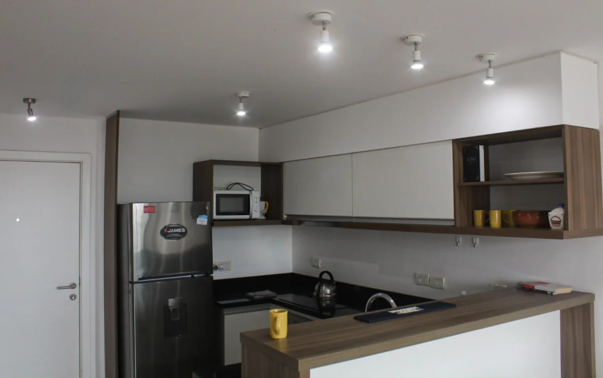 Apartamento en Playa Brava, propiedad 292079 -Imagen 2