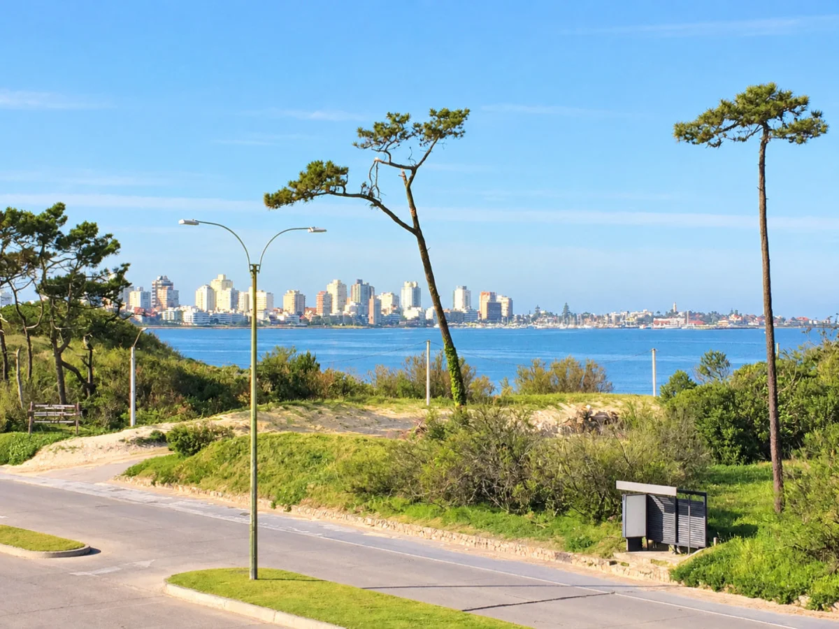 Apartamento en Playa Mansa, propiedad 296437 -Imagen 9