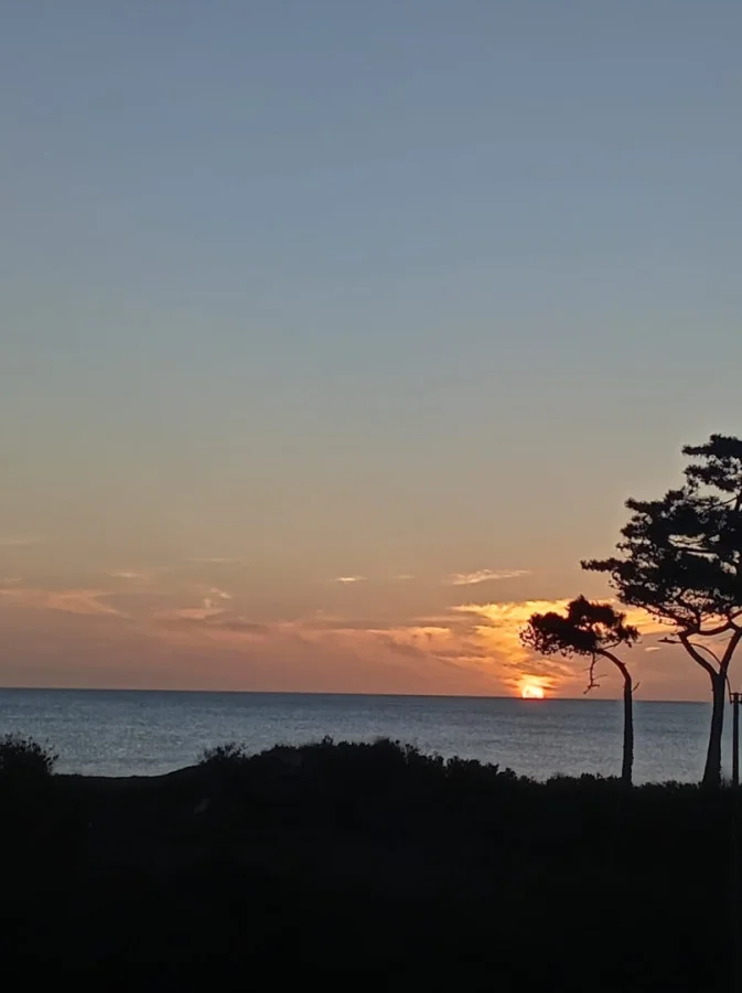 Apartamento en Playa Mansa, propiedad 297327 -Imagen 15