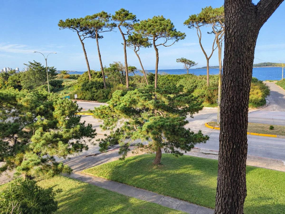 Apartamento en Playa Mansa, propiedad 297439 -Imagen 11