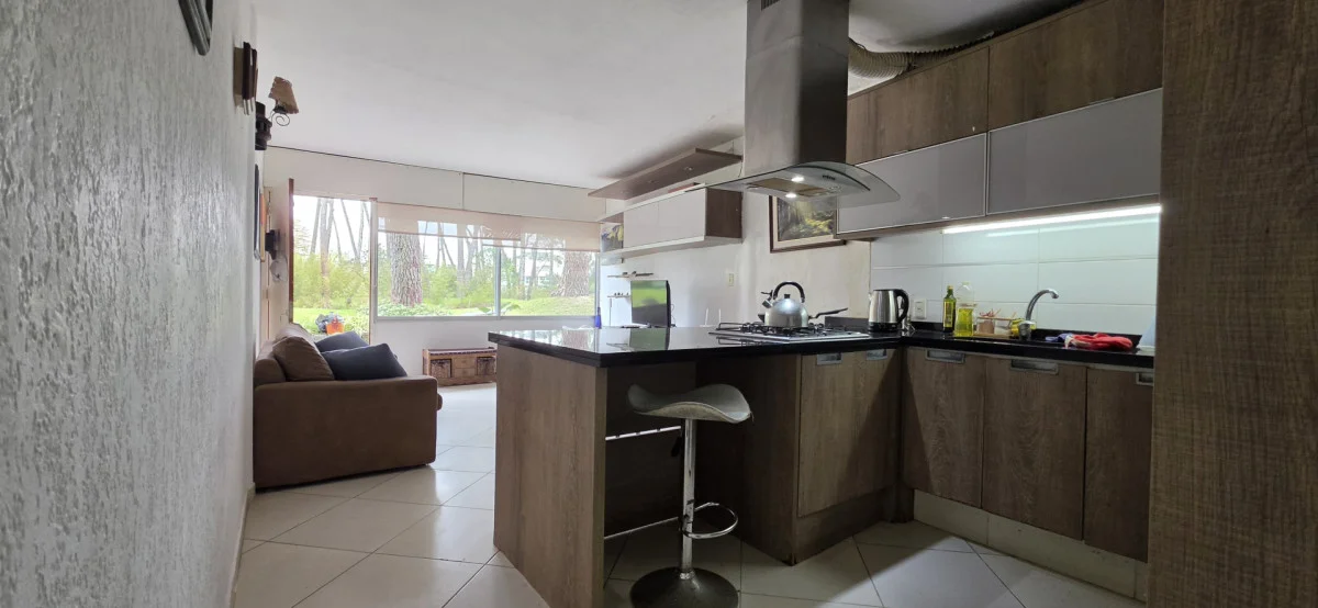 Apartamento en Playa Mansa, propiedad 299567 -Imagen 7