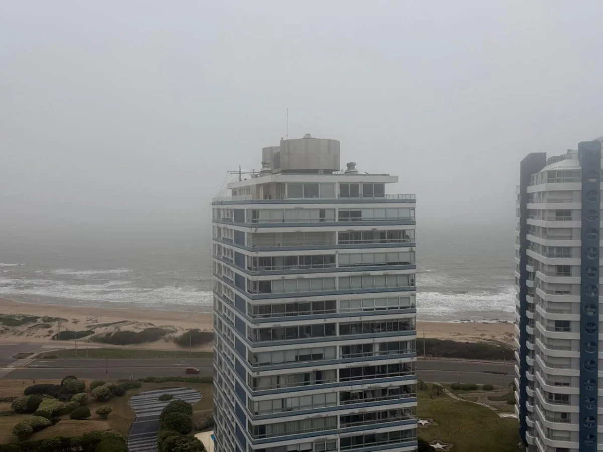 Apartamento en Playa Brava, propiedad 300294 -Imagen 10