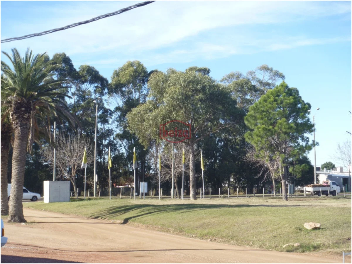 Apartamento en Maldonado, propiedad 292111 -Imagen 21
