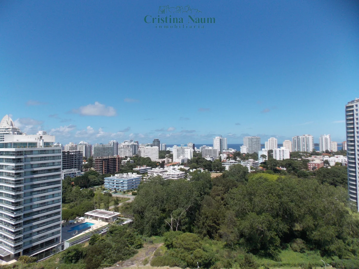 Apartamento en Playa Brava, propiedad 292556 -Imagen 2