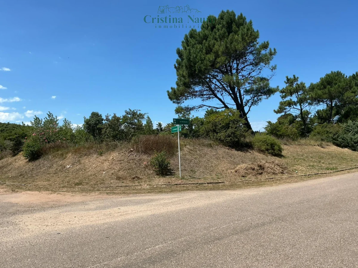 Terreno en Playa Brava, propiedad 292574 -Imagen 11