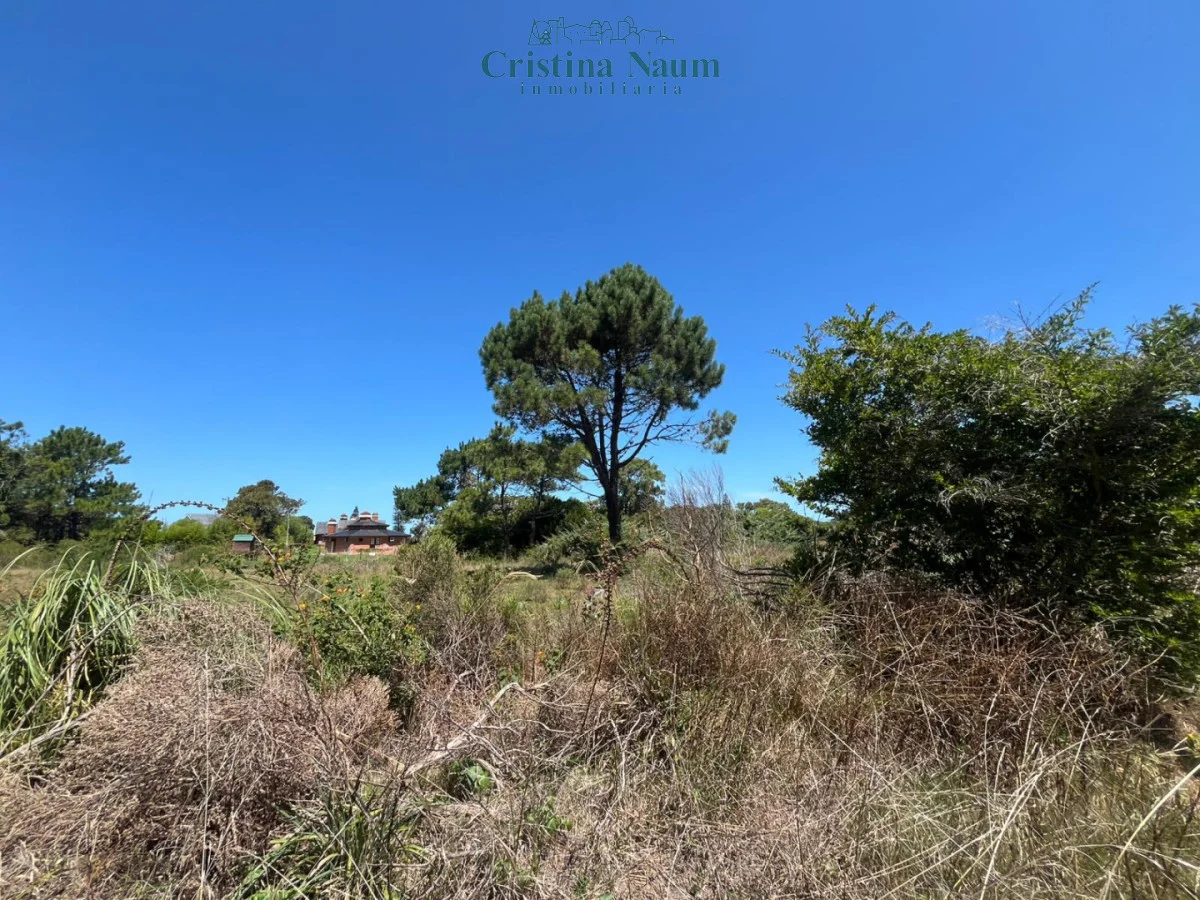 Terreno en Playa Brava, propiedad 292574 -Imagen 13