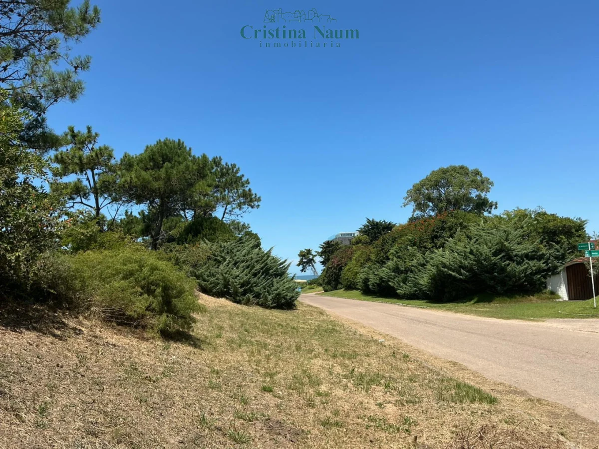 Terreno en Playa Brava, propiedad 292574 -Imagen 5