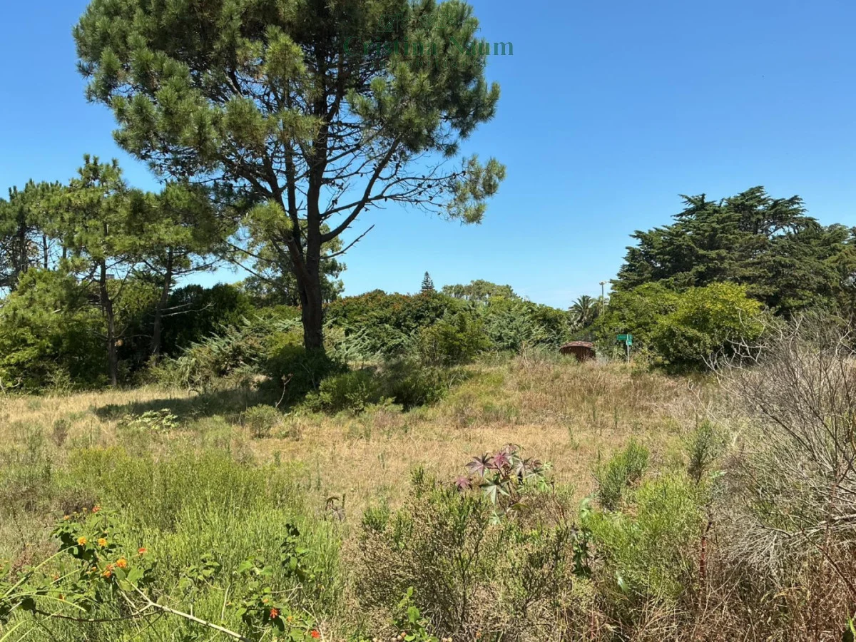 Terreno en Playa Brava, propiedad 292574 -Imagen 7