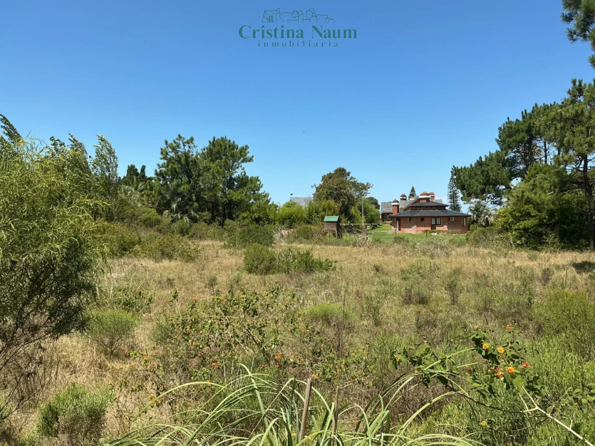 Terreno en Playa Brava, propiedad 292574 -Imagen 8