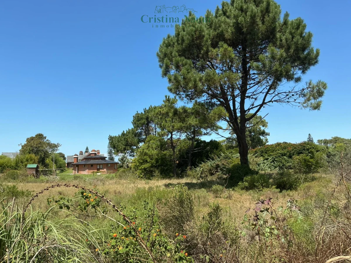 Terreno en Playa Brava, propiedad 292574 -Imagen 10