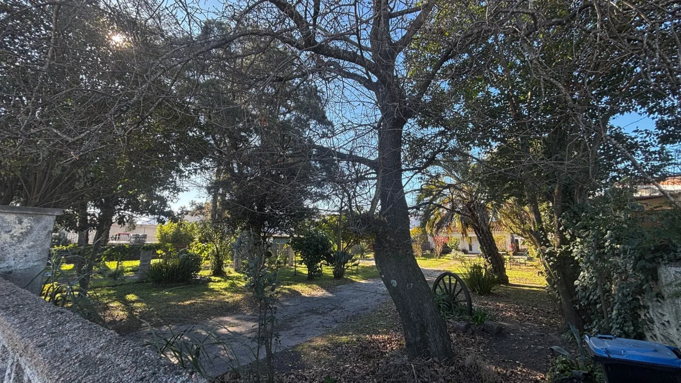 Terreno en Lagomar, propiedad 295620 -Imagen 5