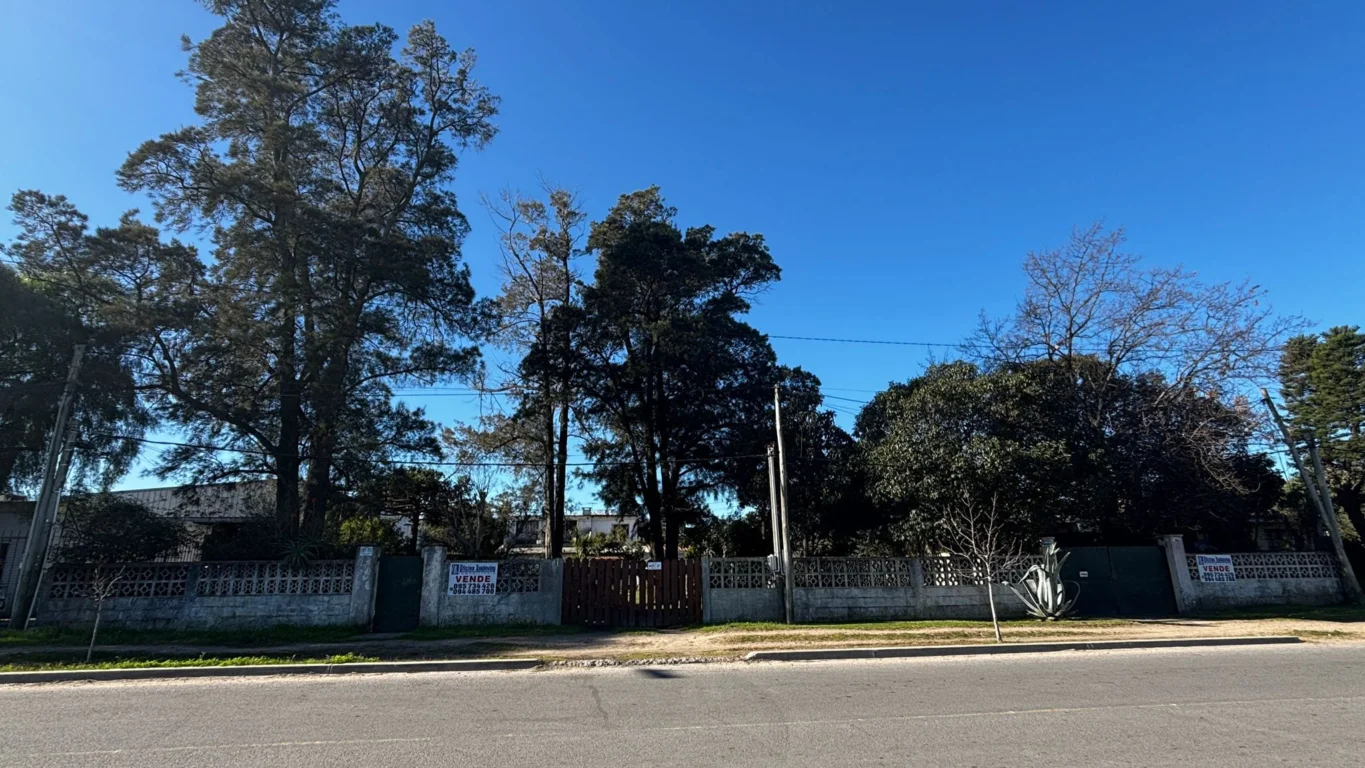 Terreno en Lagomar, propiedad 295620 -Imagen 7