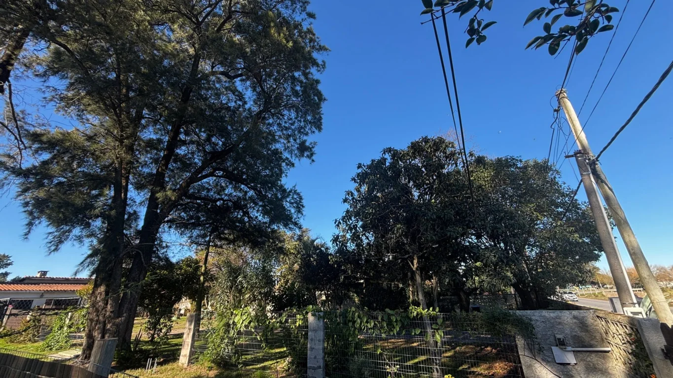 Terreno en Lagomar, propiedad 295620 -Imagen 8