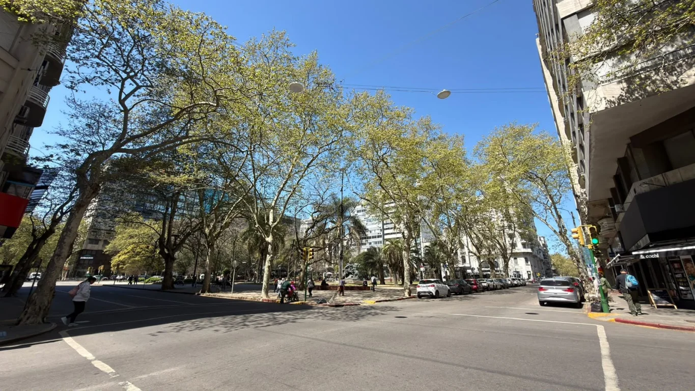 Apartamento en Centro, propiedad 297475 -Imagen 2