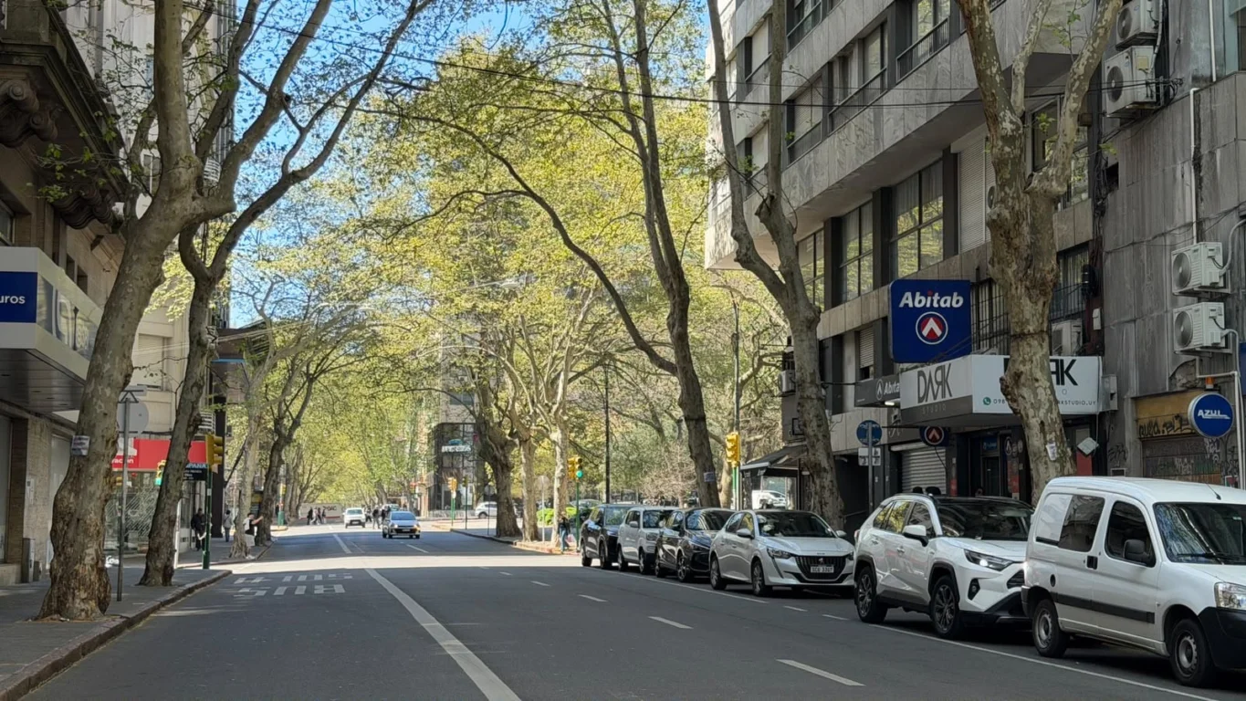 Apartamento en Centro, propiedad 297475 -Imagen 4