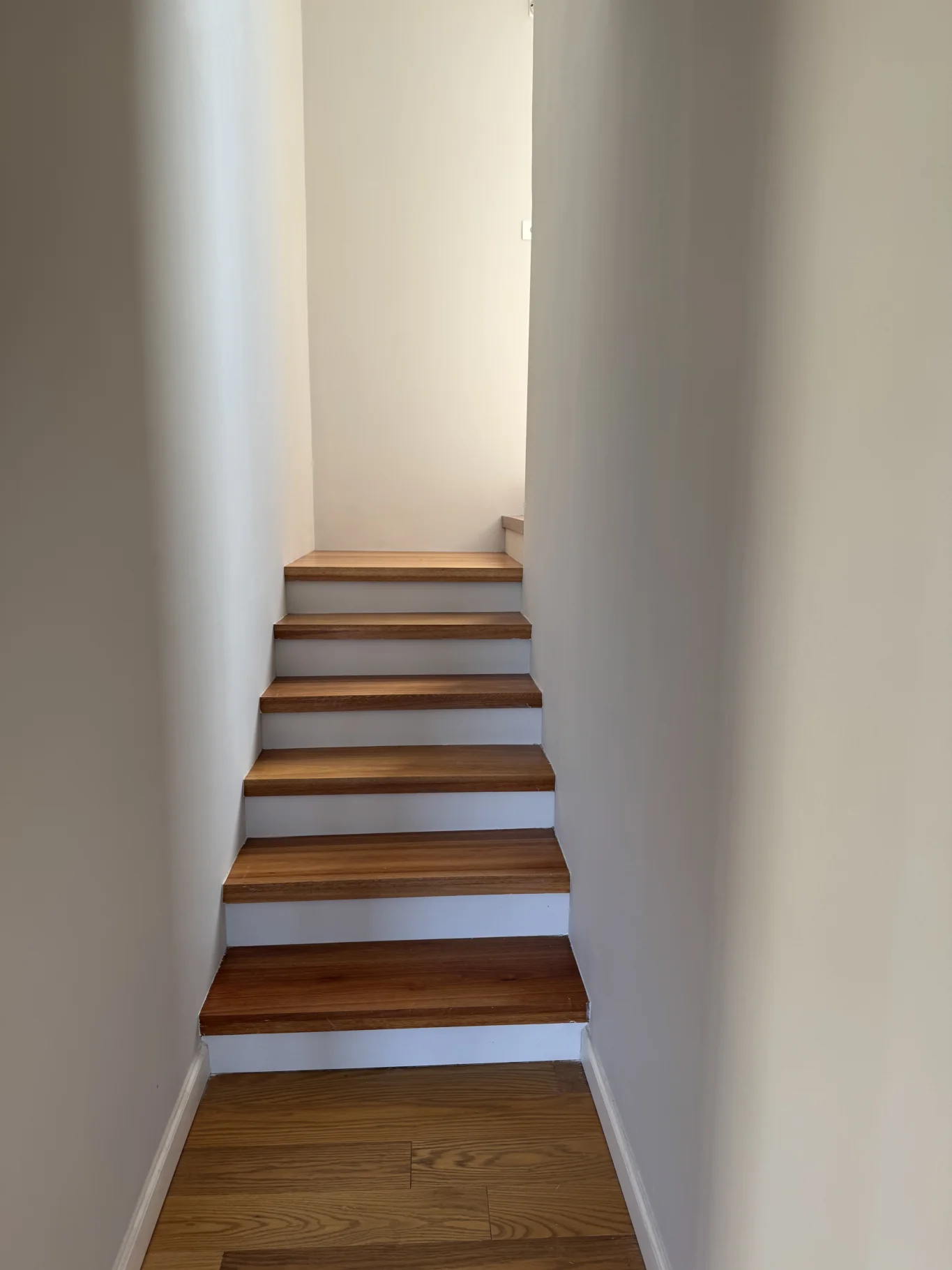 Casa en Barrios Privados, propiedad 296012 -Imagen 8