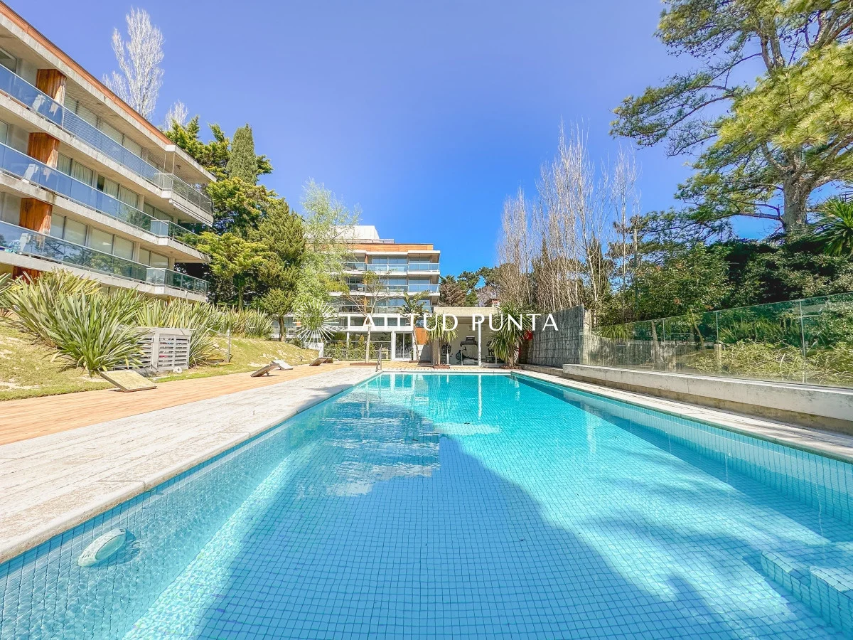 Apartamento en Playa Mansa, propiedad 301540 -Imagen 17
