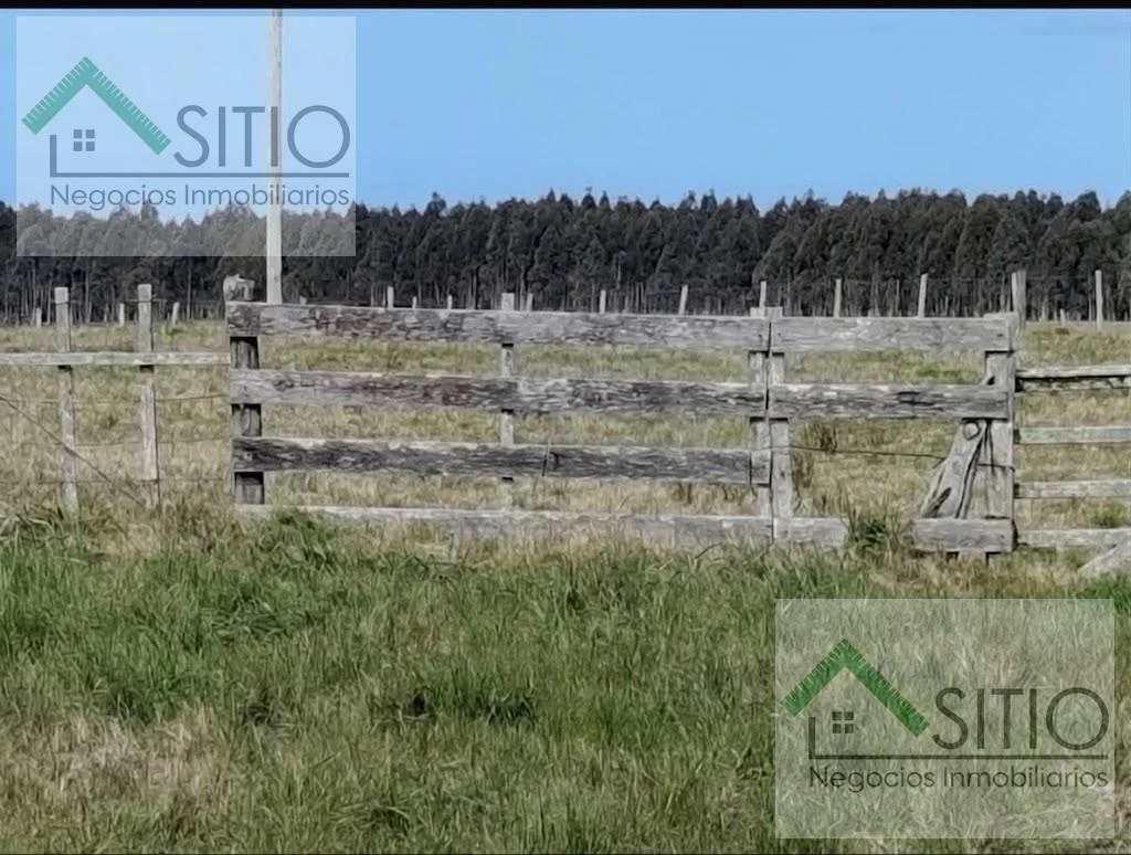 Terreno en Río Branco, propiedad 296344 -Imagen 2