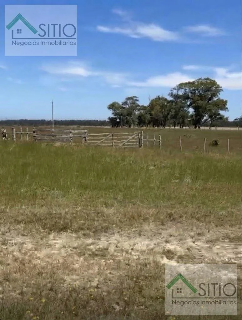 Terreno en Río Branco, propiedad 296344 -Imagen 3
