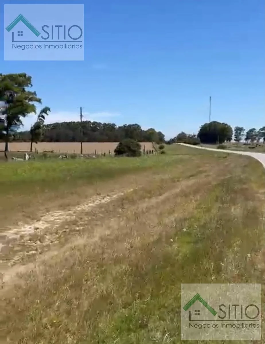 Terreno en Río Branco, propiedad 296344 -Imagen 4