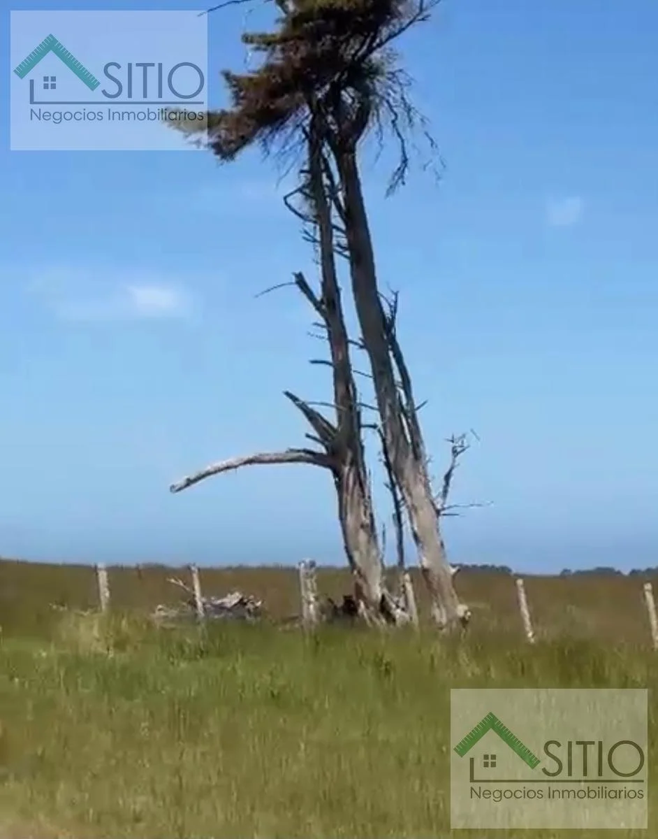 Terreno en Río Branco, propiedad 296344 -Imagen 5
