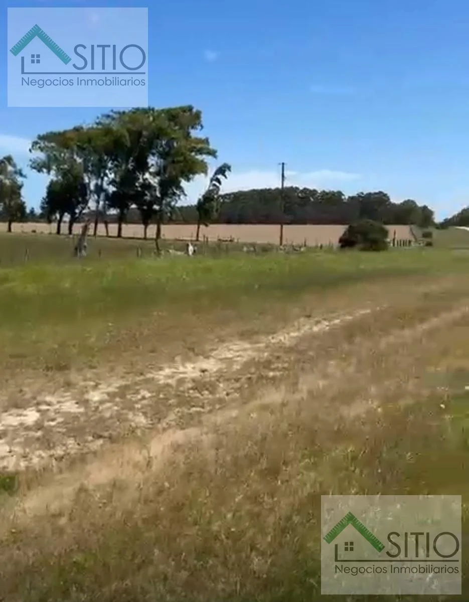 Terreno en Río Branco, propiedad 296344 -Imagen 6