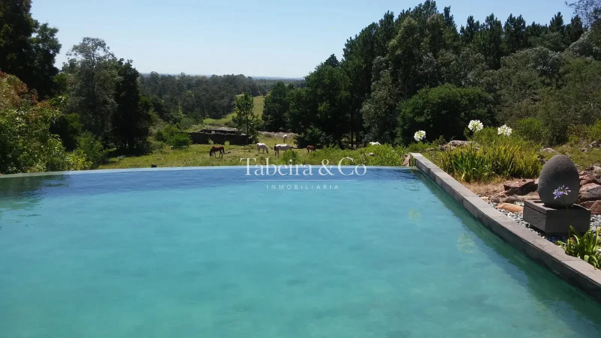 Chacra en Laguna del Sauce, propiedad 299189 -Imagen 8