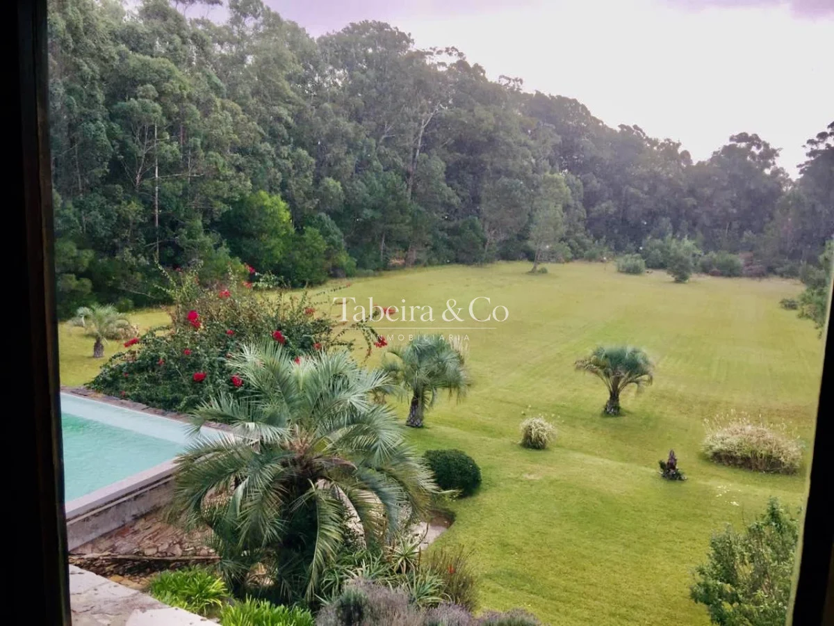 Casa en Rincón del Indio, propiedad 299192 -Imagen 5