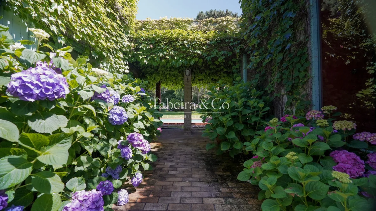 Casa en Golf, propiedad 303358 -Imagen 4