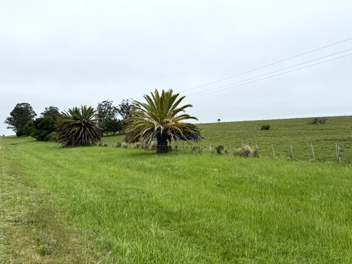 Chacra en Laguna Garzon, propiedad 301634 -Imagen 4
