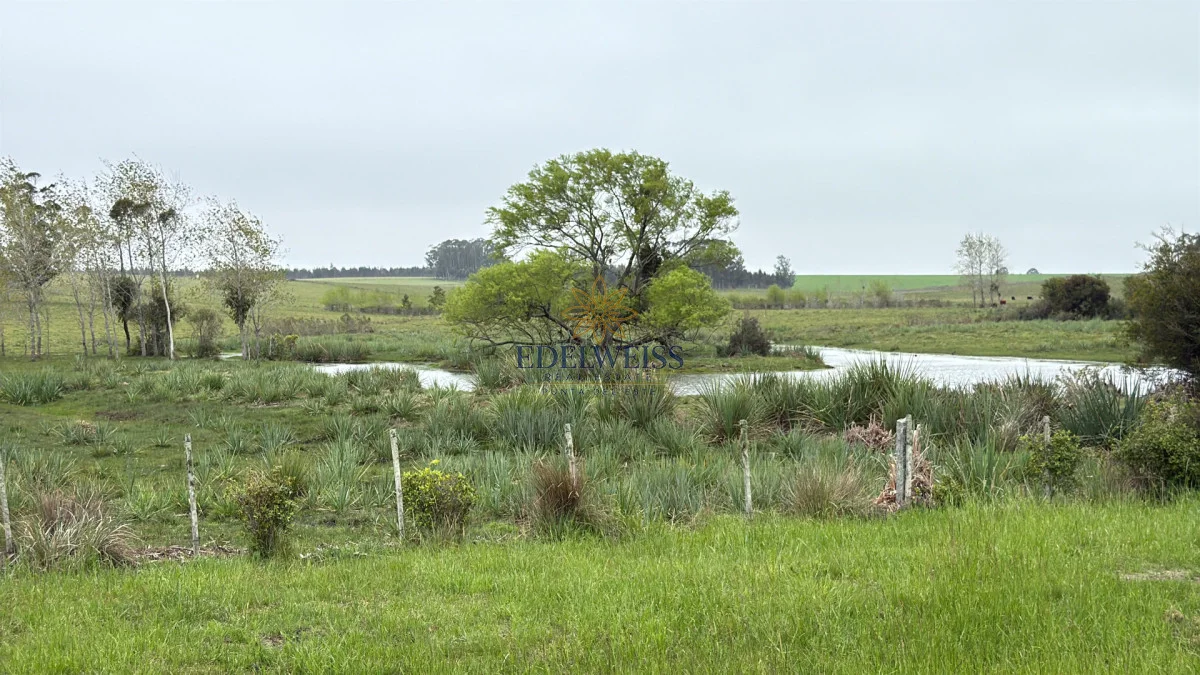 Chacra en Laguna Garzon, propiedad 301634 -Imagen 7