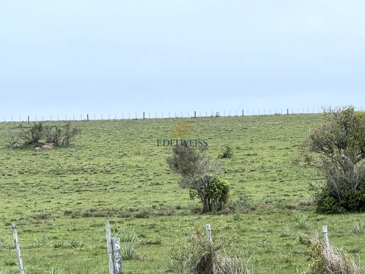 Chacra en Laguna Garzon, propiedad 301634 -Imagen 10