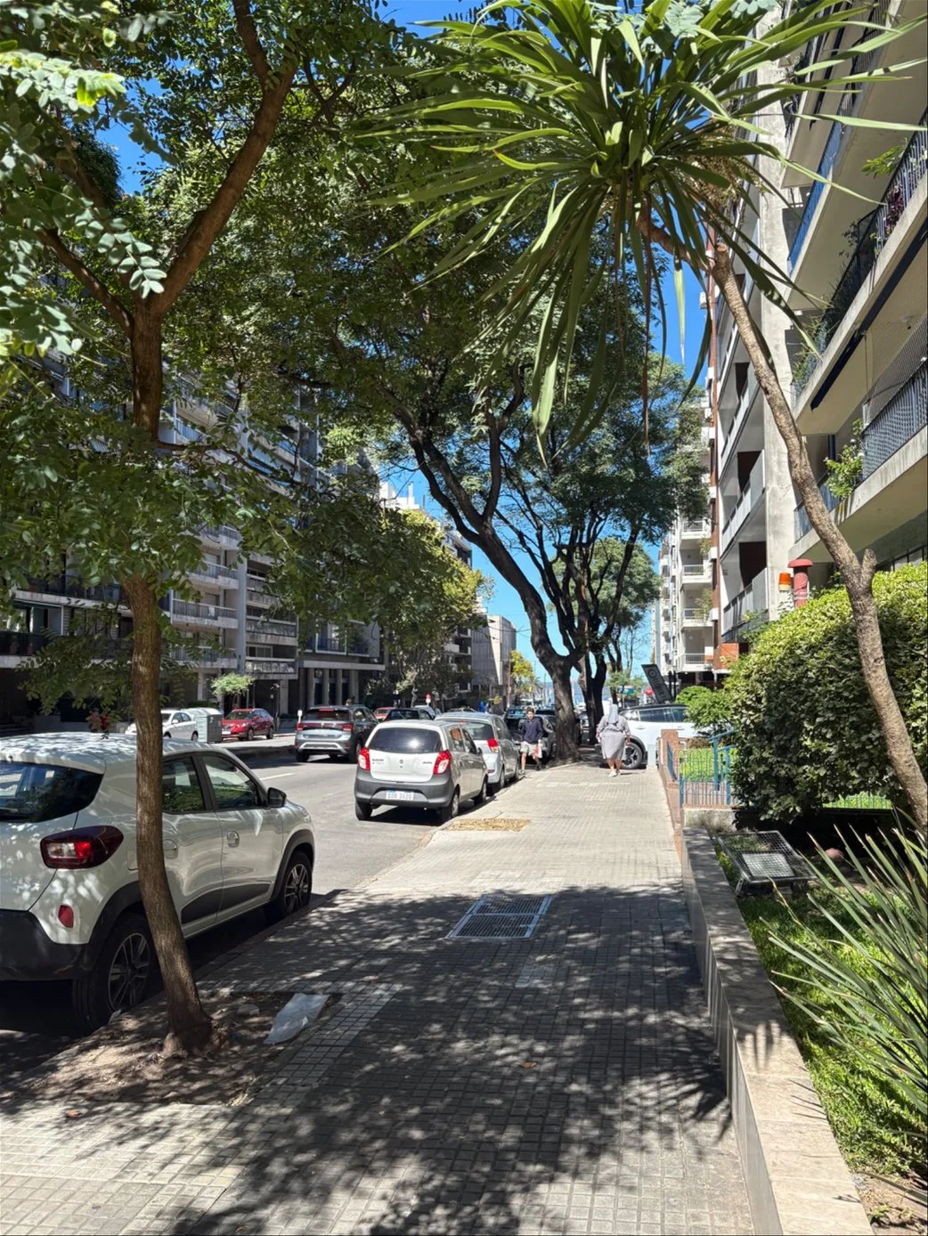 Apartamento en Pocitos, propiedad 292593 -Imagen 2
